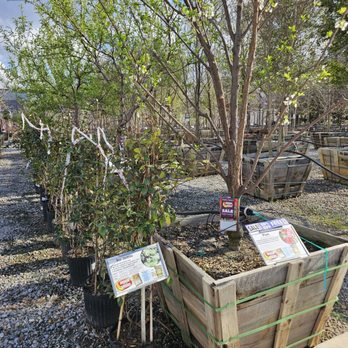 Moon Valley Nurseries - Nurseries & Gardening Near Me - Peachtree City, Georgia