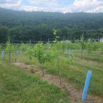 Aquila's Nest Vineyards - Wine Tasting Room Near Me - Newtown, Connecticut