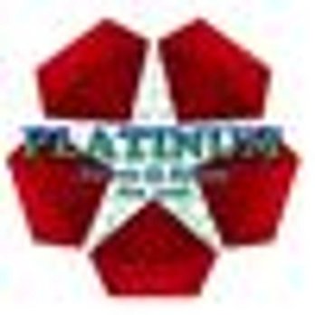 Platinum Paver and Stone - Masonry/Concrete Near Me Platinum Paver and Stone - Masonry/Concrete Near Me