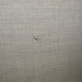 Raleigh Marriott Crabtree Valley - Someone's hair on the lamp. - Hotels Near Me - Raleigh, North Carolina Raleigh Marriott Crabtree Valley - Someone's hair on the lamp. - Hotels Near Me - Raleigh, North Carolina