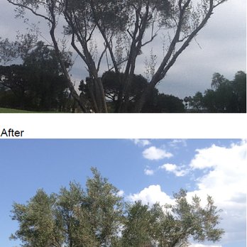 Ridgewood Tree and Shrub Care - Lawn Services Near Me - Encinitas, California Ridgewood Tree and Shrub Care - Lawn Services Near Me - Encinitas, California