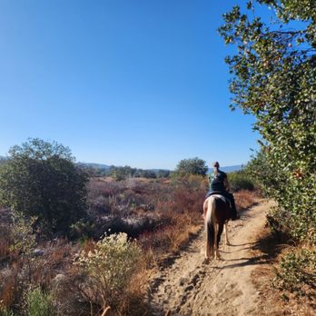 Ojai Valley Trail Riding - Horseback Riding Near Me - Ojai, California Ojai Valley Trail Riding - Horseback Riding Near Me - Ojai, California