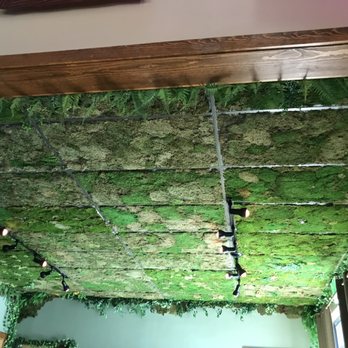 The Good Wolf Brewing Company - Moss on ceiling - Brewpubs Near Me - Truckee, California The Good Wolf Brewing Company - Moss on ceiling - Brewpubs Near Me - Truckee, California