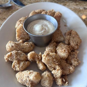6 Klicks Cafe - Alligator yum! - Cafes Near Me - Helotes, Texas 6 Klicks Cafe - Alligator yum! - Cafes Near Me - Helotes, Texas