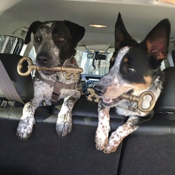 Lee Lock & Key - Car Keys for Xena and Dixie ! - Keys & Locksmiths Near Me - Indianapolis, Indiana Lee Lock & Key - Car Keys for Xena and Dixie ! - Keys & Locksmiths Near Me - Indianapolis, Indiana