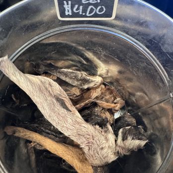 Hi-Desert Tails - As of 1/31/25 - Pet Stores Near Me - Yucca Valley, California