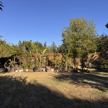 Rico Landscape - You can see all the pots now after removing all dead plant material - Irrigation Near Me - Campbell , California Rico Landscape - You can see all the pots now after removing all dead plant material - Irrigation Near Me - Campbell , California