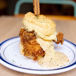 Biscuit Belly - Nulu