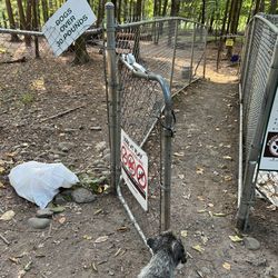 Woodstock Dog Park - Woodstock dog park