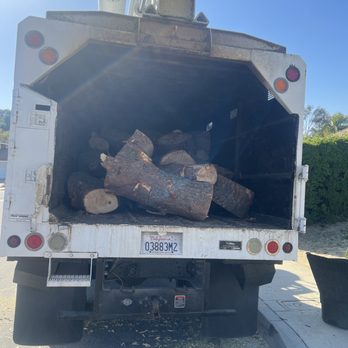 Paez Tree Service - Haul away tree remain. - Tree Services Near Me - Anaheim, California