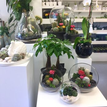 Plant The Future - Art Galleries Near Me - Miami, Florida Plant The Future - Art Galleries Near Me - Miami, Florida