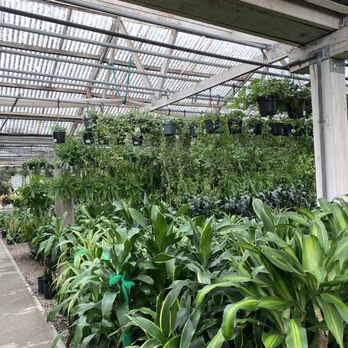 Rolling Greens - Nurseries & Gardening Near Me - Culver City, California Rolling Greens - Nurseries & Gardening Near Me - Culver City, California