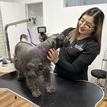 Petssible - Pet Groomers Near Me - El Paso, Texas