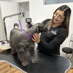 Petssible