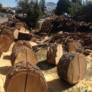 Evergreen Recycling Inc. - Palm trunks ready to be recycle at Evergreen - Recycling Center Near Me - Los Angeles, California Evergreen Recycling Inc. - Palm trunks ready to be recycle at Evergreen - Recycling Center Near Me - Los Angeles, California