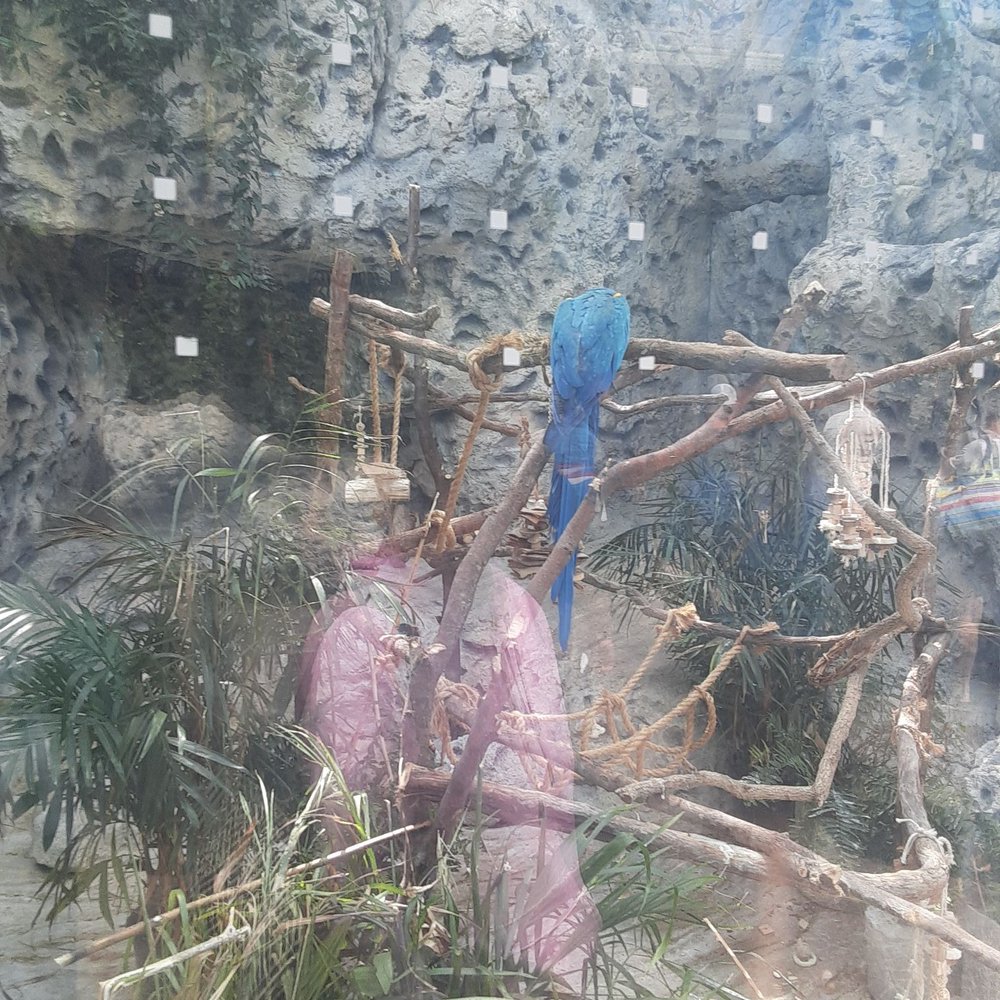 Texas State Aquarium - Aquariums Near Me - Corpus Christi, Texas Texas State Aquarium - Aquariums Near Me - Corpus Christi, Texas