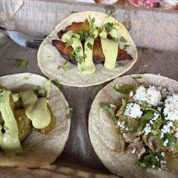 Taquerio - Tacos Near Me - Mystic, Connecticut Taquerio - Tacos Near Me - Mystic, Connecticut