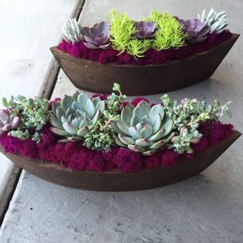OC Succulents - Made by Karla - Nurseries & Gardening Near Me - Irvine, California