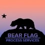 Photo of Bear Flag Process Services