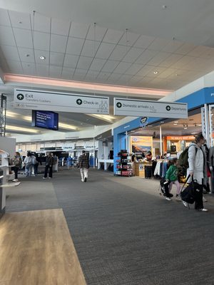 Queenstown Airport by null