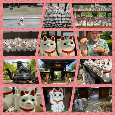 Gōtokuji Temple by null