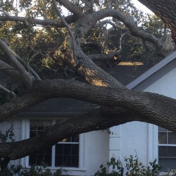 Clean Cut Tree Service & Stump Grinding, Inc - Storm Damage - Landscaping Near Me - Melbourne, Florida Clean Cut Tree Service & Stump Grinding, Inc - Storm Damage - Landscaping Near Me - Melbourne, Florida