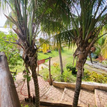 19.5 Km Restaurant - Seafood Near Me - Cancún, ROO 19.5 Km Restaurant - Seafood Near Me - Cancún, ROO