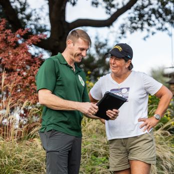 Capitol Tree Care - Tree Services Near Me - Austin, Texas Capitol Tree Care - Tree Services Near Me - Austin, Texas