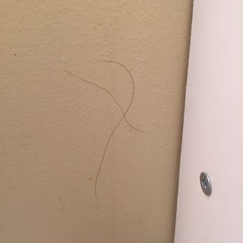 Larrowe Property Management - Long Black hairs all over the bathroom walls - Vacation Rental Agents Near Me - Myrtle Beach, South Carolina Larrowe Property Management - Long Black hairs all over the bathroom walls - Vacation Rental Agents Near Me - Myrtle Beach, South Carolina