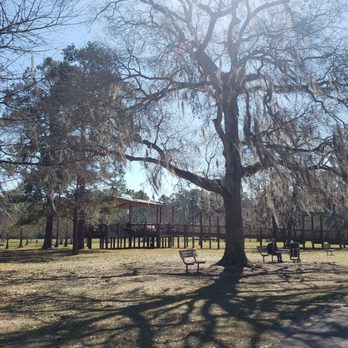 Burroughs Park - Fishing Near Me - Tomball, Texas