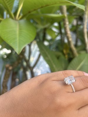 Princess Bride Diamonds | Engagement Rings & Custom Jewelry by null