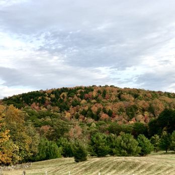 Carey Institute - Venues & Event Spaces Near Me - Rensselaerville, New York