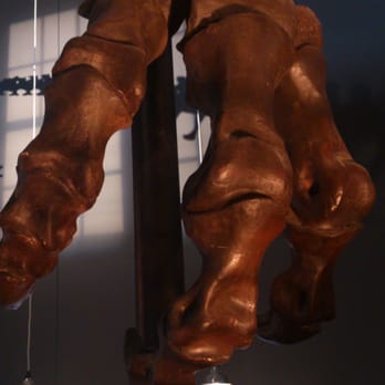 Cap Sciences - Museums Near Me - Bordeaux, 33