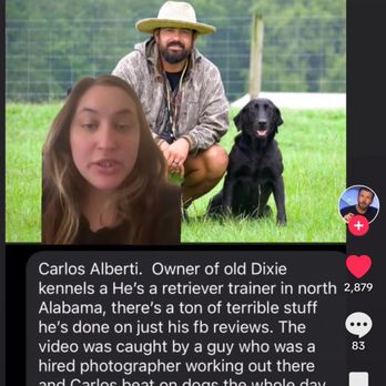 Old Dixie Kennels - Pet Training Near Me - Somerville, Alabama