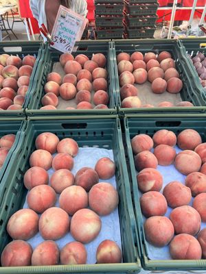 Montclair Village Farmers' Market by null