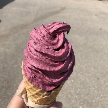 Barrie Hill Farms - Blueberry & raspberry - Farmers Market Near Me - Springwater, Ontario Barrie Hill Farms - Blueberry & raspberry - Farmers Market Near Me - Springwater, Ontario