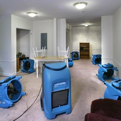 Certified Restoration Group