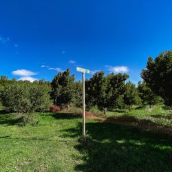 Stutzman Ranch - Orchard Av