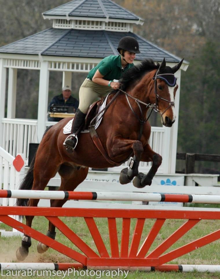 Kelly's Ford Equestrian Center - equestrian in Remington, VA