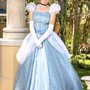 Tampa Princess Company