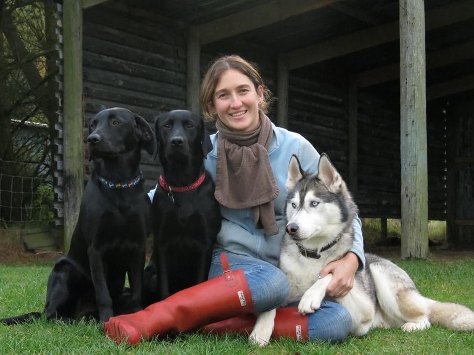 ROSEVALLEY BOARDING KENNELS & CATTERY Updated June 2024 North