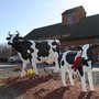 Photo of Vintage Barn Wine & Spirits