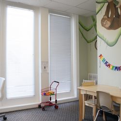 Harmony Pediatric Therapy - Chatham