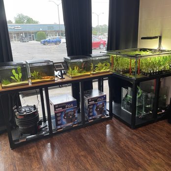 Fins Freshwater Aquariums - Nano displays. Shrimp, plants, etc. - Local Fish Stores Near Me - Bartlett, Tennessee Fins Freshwater Aquariums - Nano displays. Shrimp, plants, etc. - Local Fish Stores Near Me - Bartlett, Tennessee