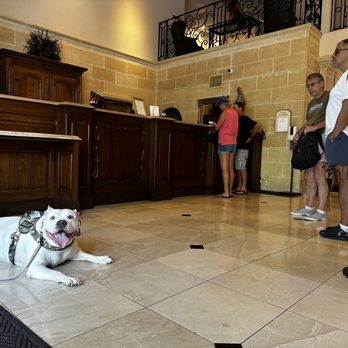 Dogs Trained Right - Jessiblu - Pet Training Near Me Dogs Trained Right - Jessiblu - Pet Training Near Me