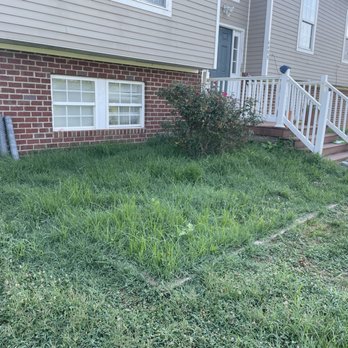 Green Brothers - Tree Services Near Me Green Brothers - Tree Services Near Me