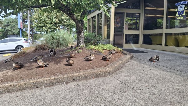 Franz Bakery Outlet Store