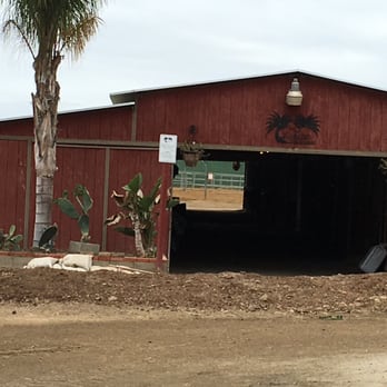 Rancho Dos Palmas Boarding And Training Facility - Dark dank barn - Pet Training Near Me - Vista, California Rancho Dos Palmas Boarding And Training Facility - Dark dank barn - Pet Training Near Me - Vista, California