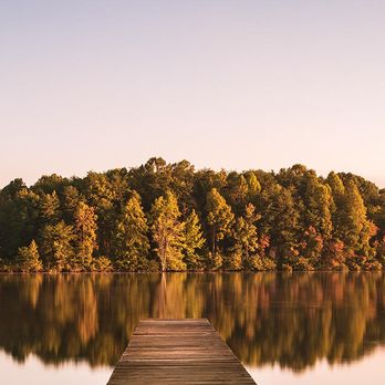 Dixon Law Group - Divorce & Family Law Near Me - Greenville, North Carolina Dixon Law Group - Divorce & Family Law Near Me - Greenville, North Carolina