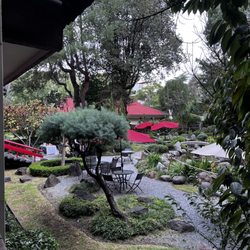 Asociacion México Japonesa